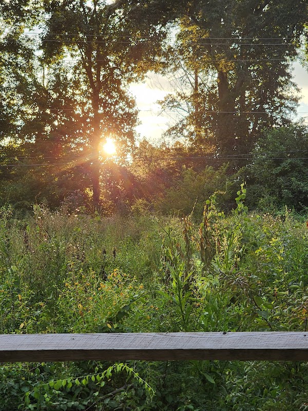 Newgate Cooperative Wildlife Management Area