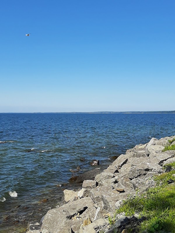 Mexico Point Beach