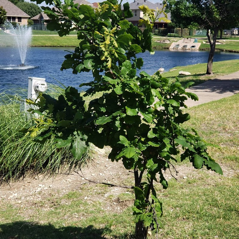 The Cascades - Playground and Walking Trail