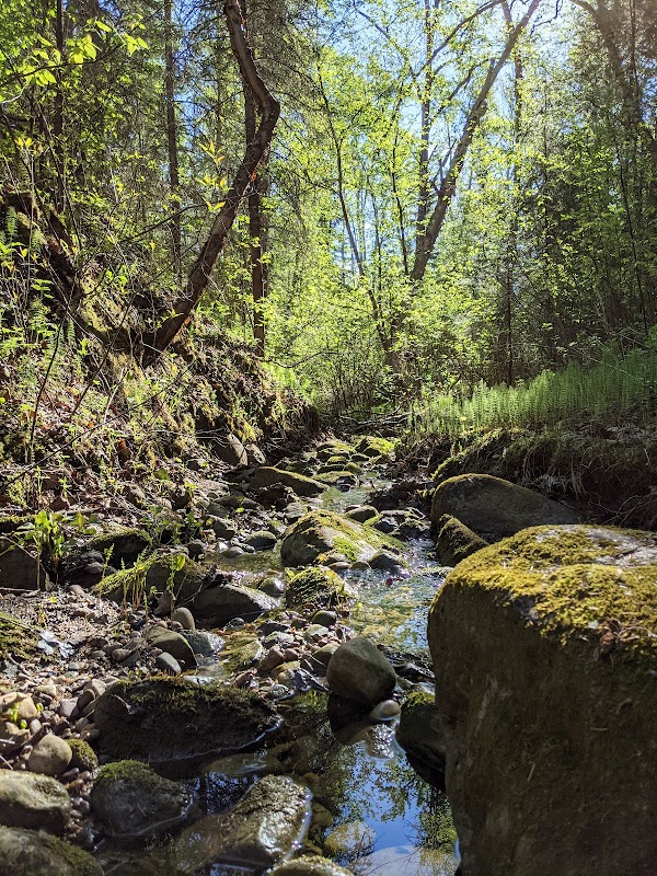 Guthrie Ravine