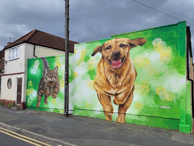 Cat Vs Dog Mural by Paul Curtis