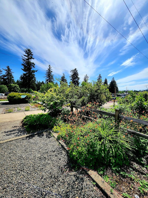 Natural Gardens At Pacific Community Park