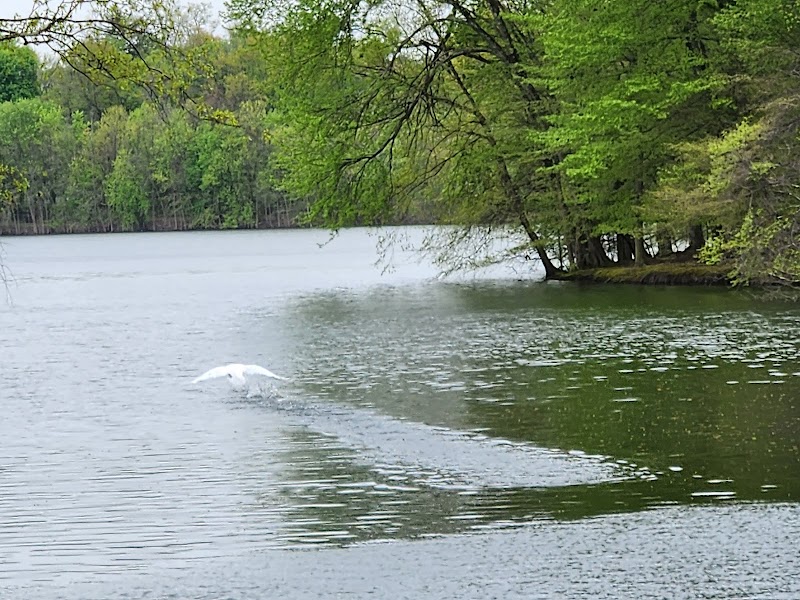 Donald T. Horsey Centennial Park