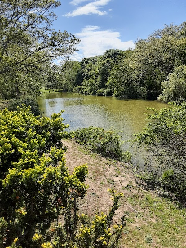 Wolf Pit Pond
