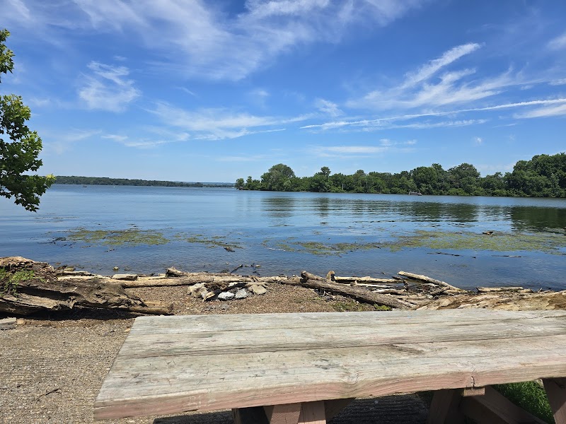 Walton Ferry Arboretum