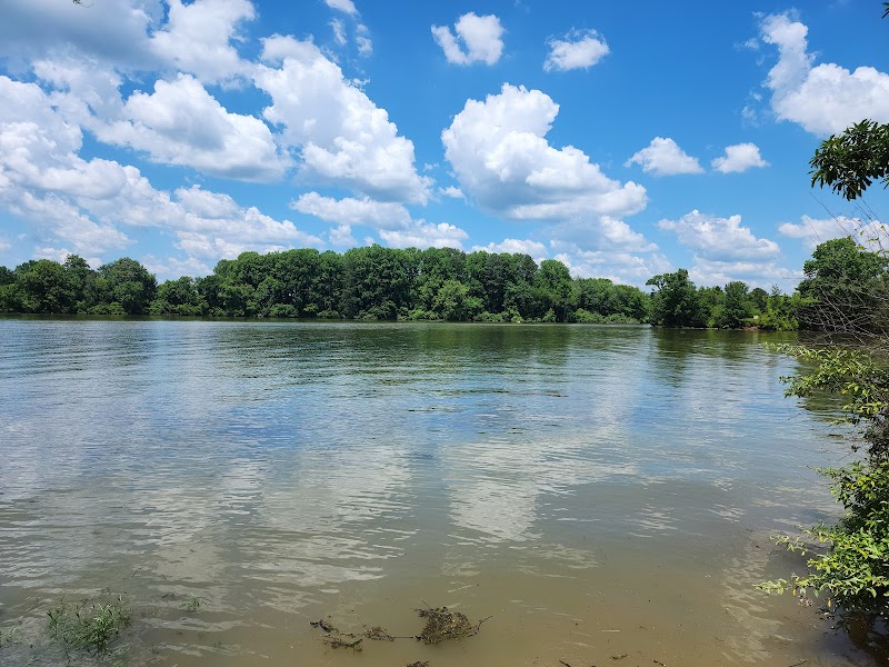 Walton Ferry Arboretum