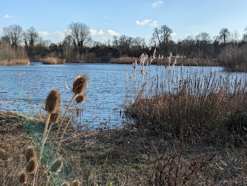 South lake bird hide