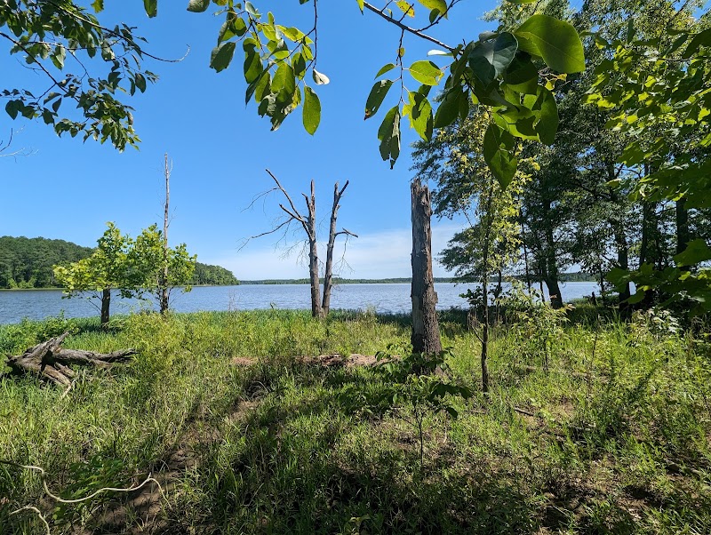 Hereford road MST trailhead