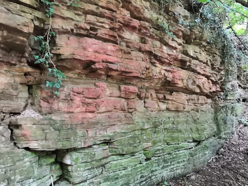 Stonepit Plantation Nature Reserve