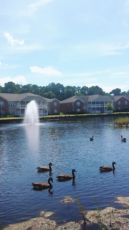 The Gardens Fountain
