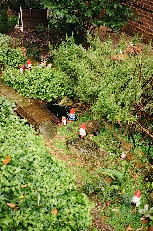 Gnome Garden