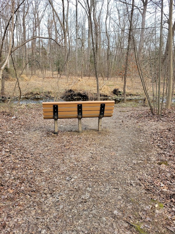 Friends of Runnymede Park