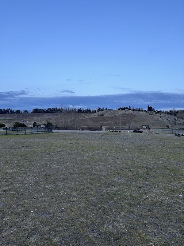Chambers Bay Off Leash Dog Park