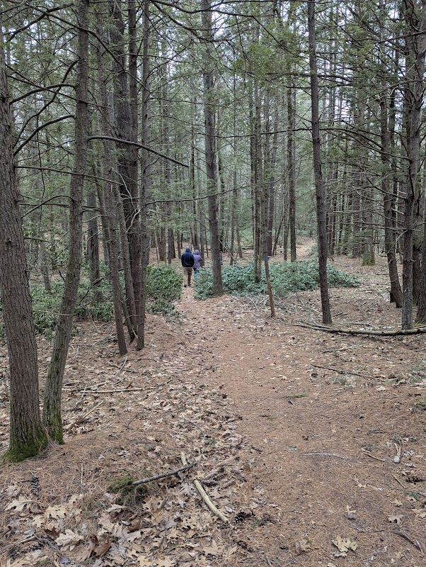 Lane Conservation Area