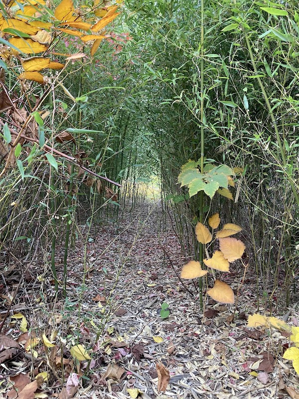 Newtown Creek East Branch