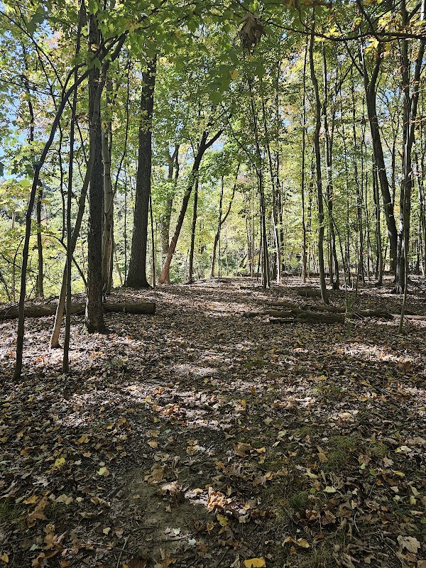 Mountainview Nature Park