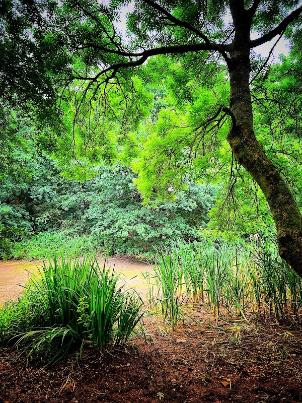 Red River Nature Walk