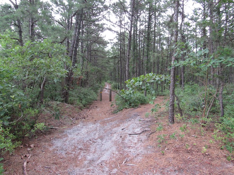 Whispering Pines Park