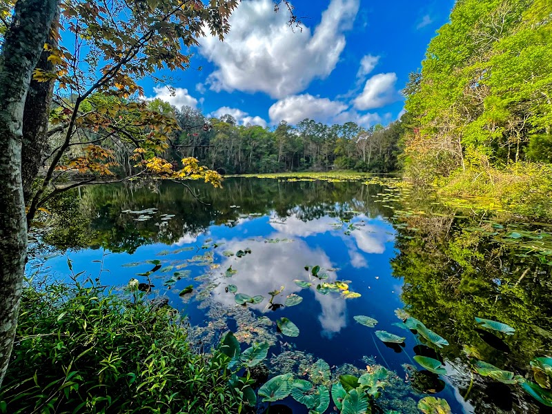 Jacksonville Arboretum & Botanical Gardens