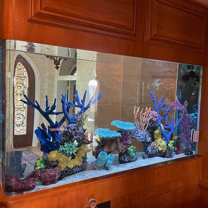 Seaview Aquariums Service
