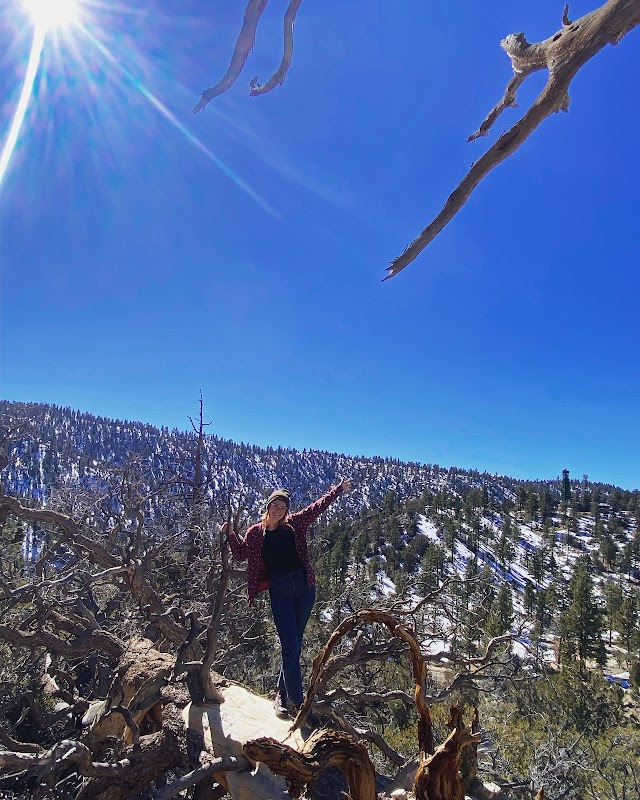 So Cal Veterans Campground