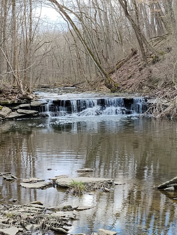 Newberry Wildlife Sanctuary