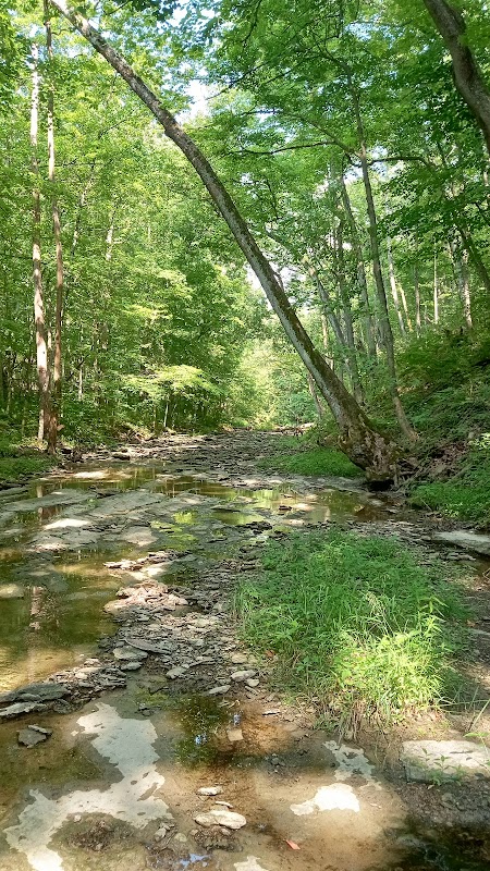 Newberry Wildlife Sanctuary