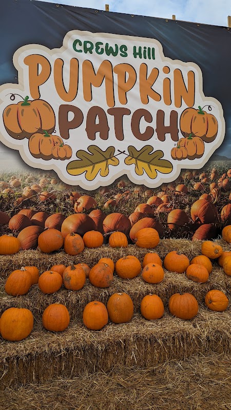 Crews Hill Pumpkin Patch