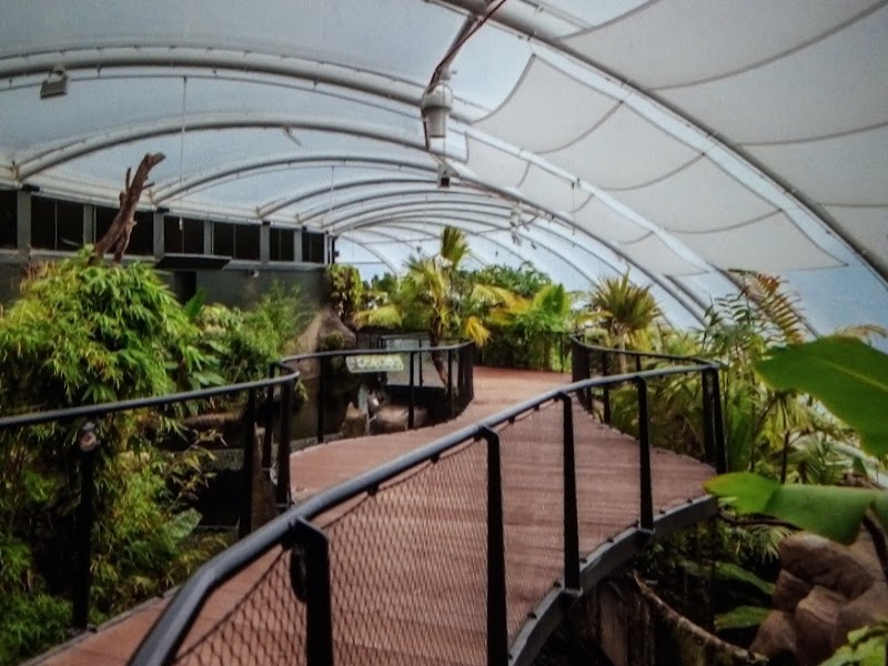 Marwell Zoo Tropical House