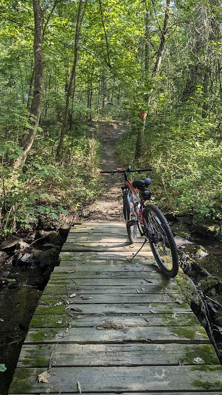 Stewart State Forest