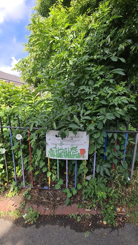 Everyone's Wild Garden