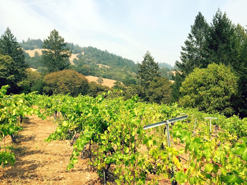 Fogline Vineyards