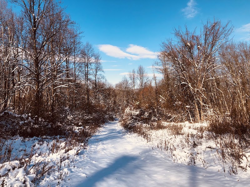 Shabbecong Mountain Preserve Trail Head