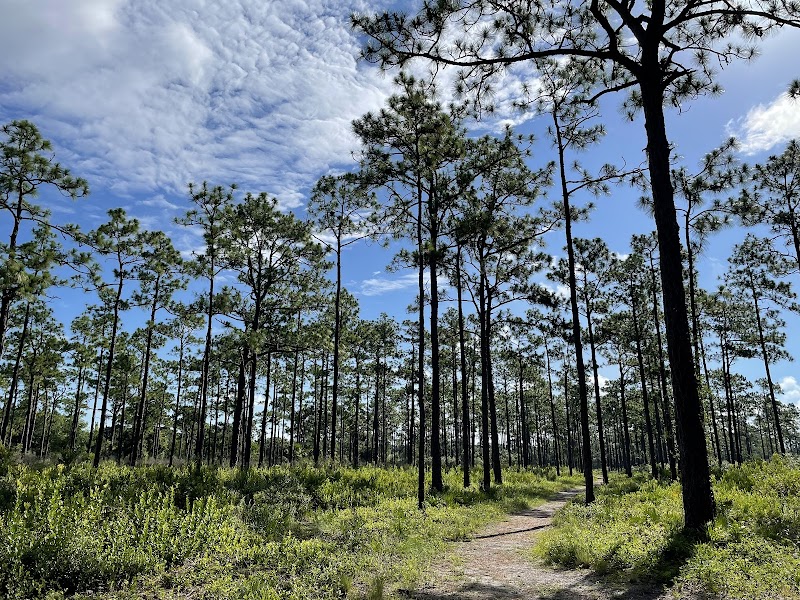 Econ River Wilderness Area