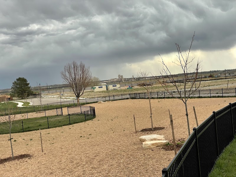 Richard's Lake Dog Park