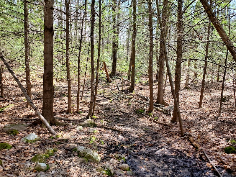 Swan Preserve Trailhead