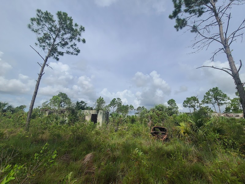 Sunny Palms Pineland Preserve