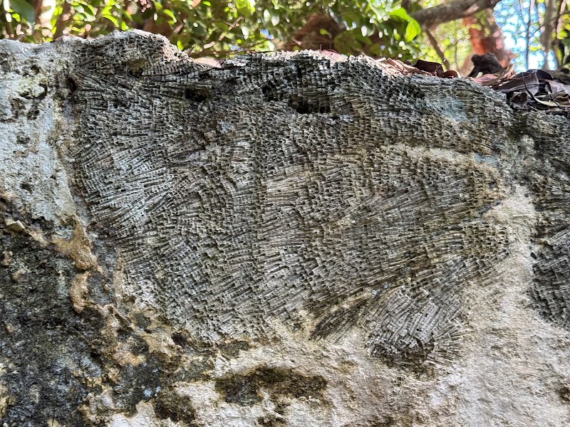 Windley Key Fossil Reef Geological State Park Visitor Center