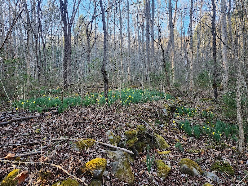 Hickory Flats Quiet Walkway Trailhead