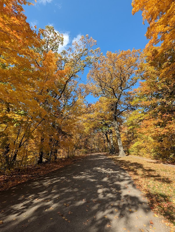 Quinn (Mary Berkemeier) Park