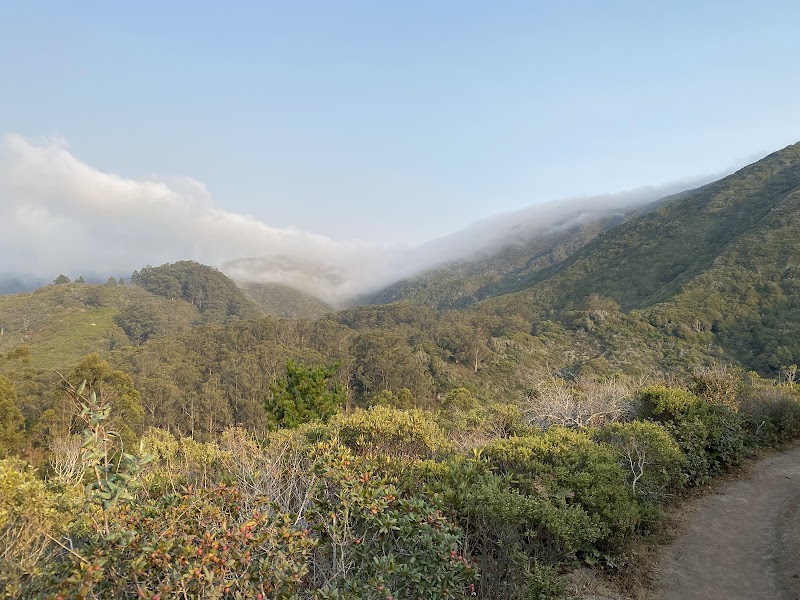 Waterfall Viewing Point
