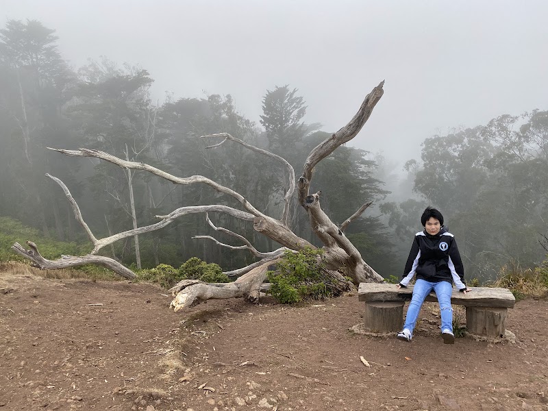 Mount Davidson Vista Point