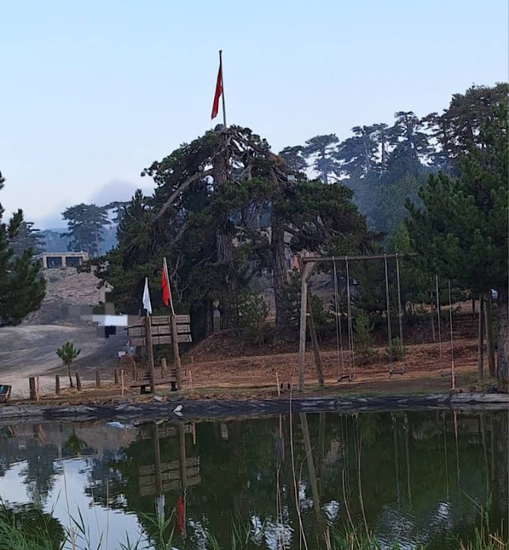 Beyağaç Topuklu Yaylası (Gökyüzü Gözlem Etkinliği Alanı)