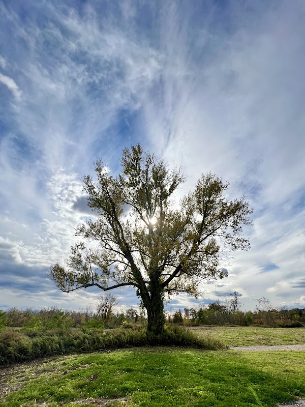 Future Riverfront Park