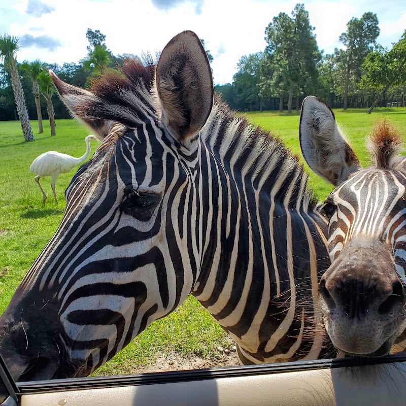 Eudora Wildlife Safari Park