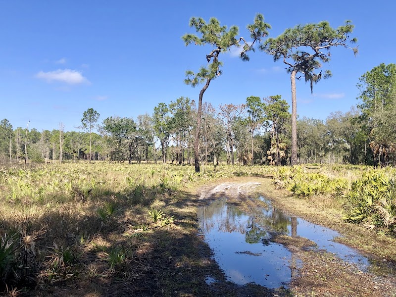 Blackwater Creek Nature Preserve