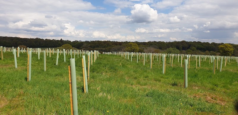 Potters Wood Hertsmere