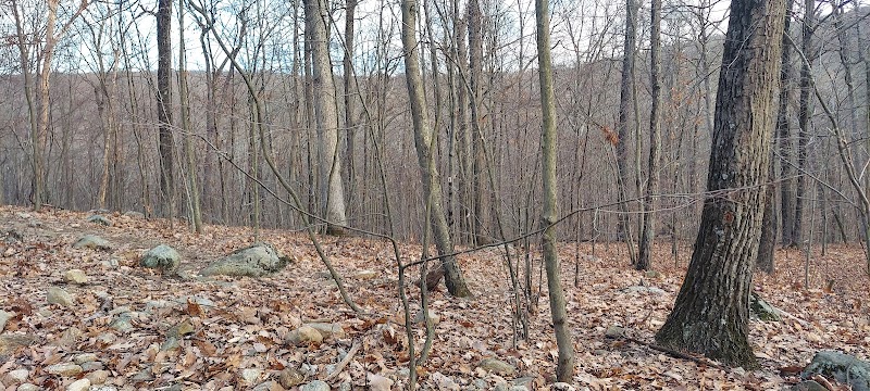 Trail to Ilgenstein Rock and Erskine Lookout