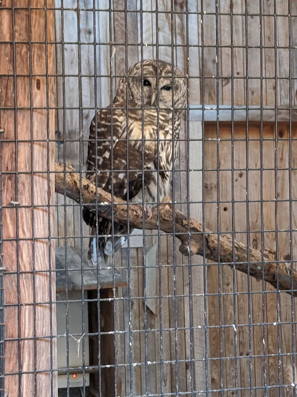 New Hampshire Audubon