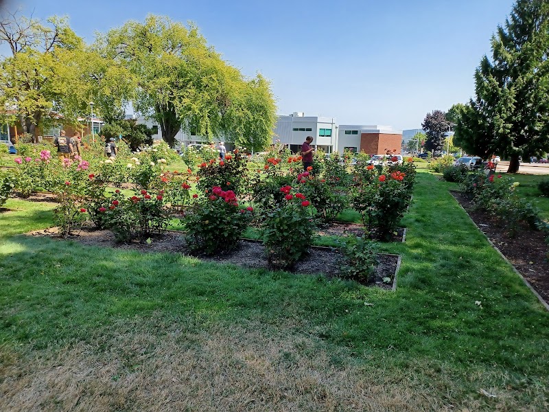 Rose Test Garden Longview